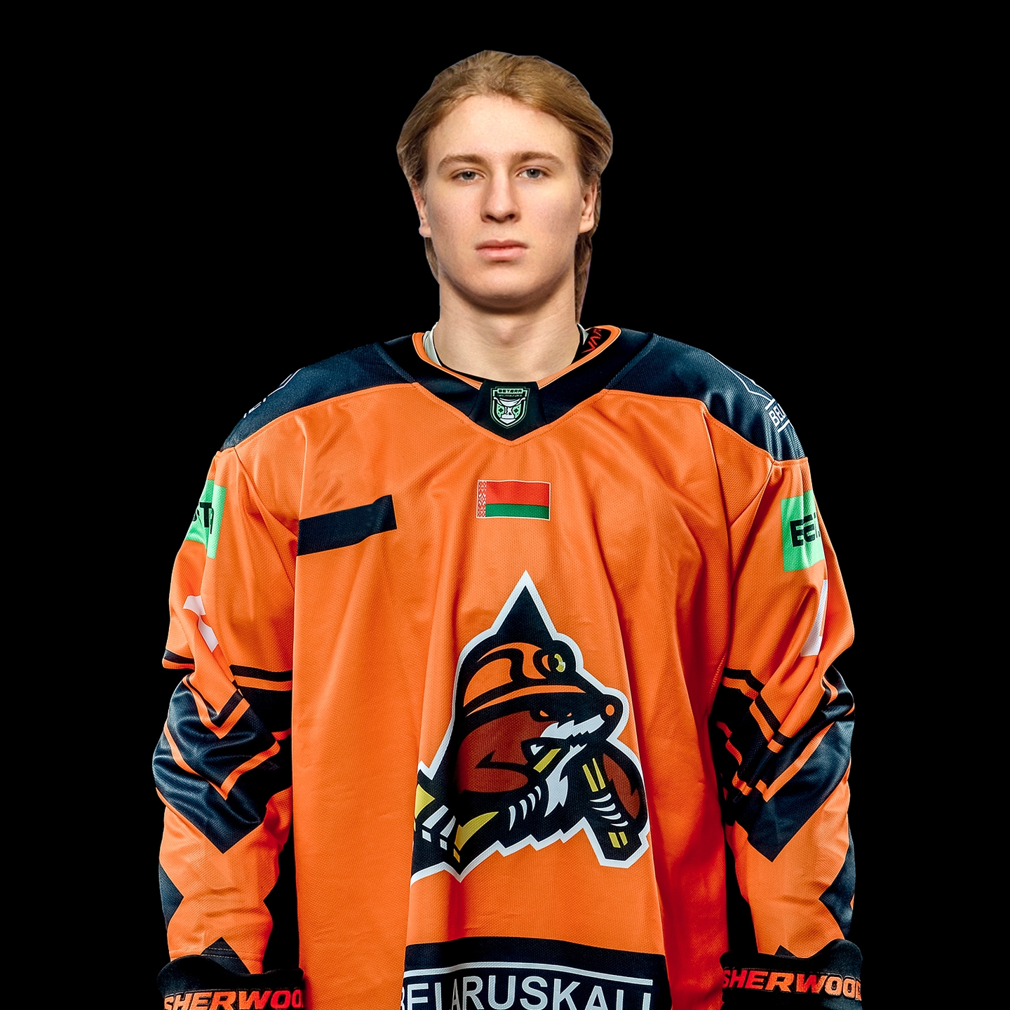 Гуменюк Артём Николаевич