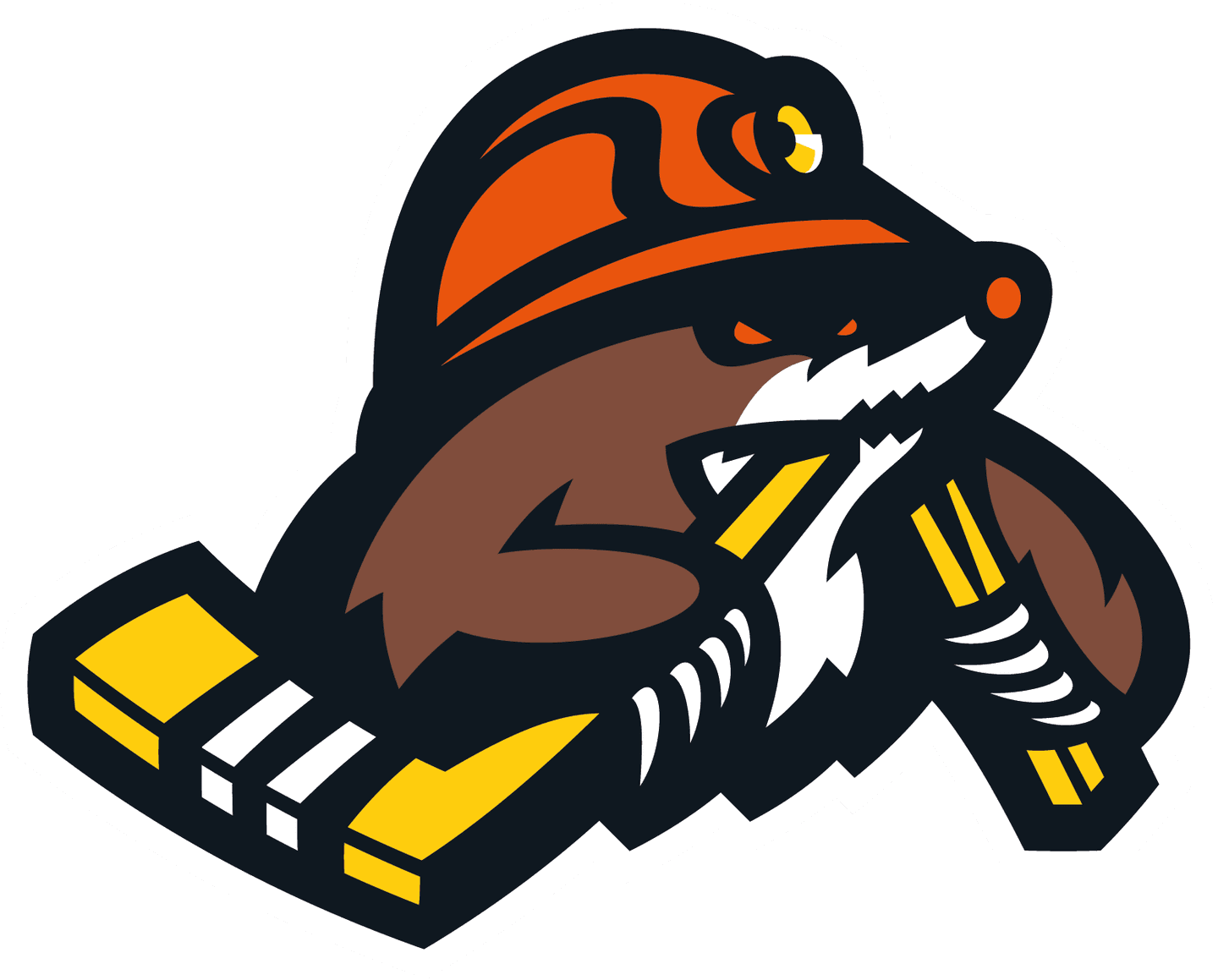  СДЮШОР ХК «Шахтер-Солигорск»