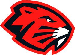 ОСП ДЮСШ  «Бобруйск-Арена»