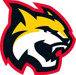     СДЮШОР ХК «Гомель»